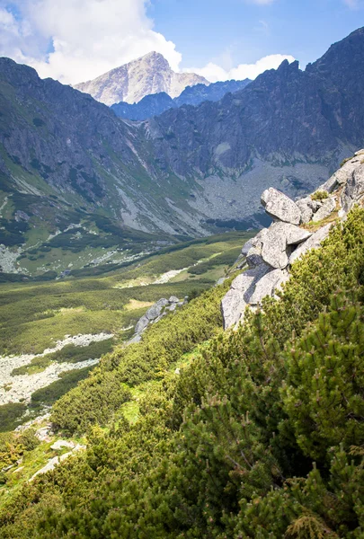 Příroda ve Vysokých Tatrách, Slovensko — Stock fotografie