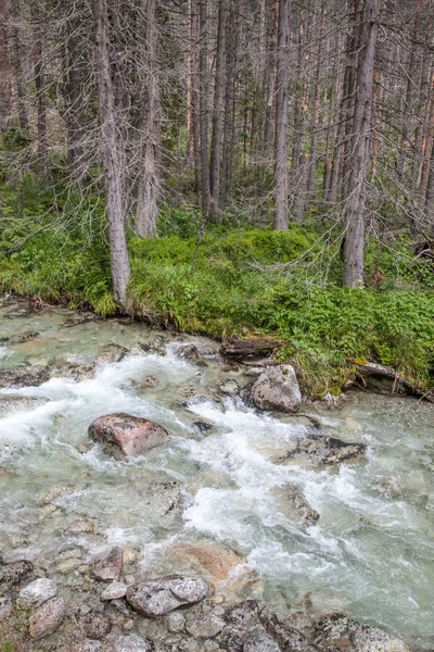 Proud studený potok ve Vysokých Tatrách, Slovensko — Stock fotografie