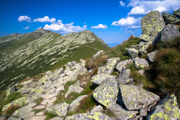 Nízké Tatry, Slovensko — Stock fotografie