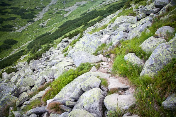 Düşük tatras mountains, Slovakya — Stok fotoğraf