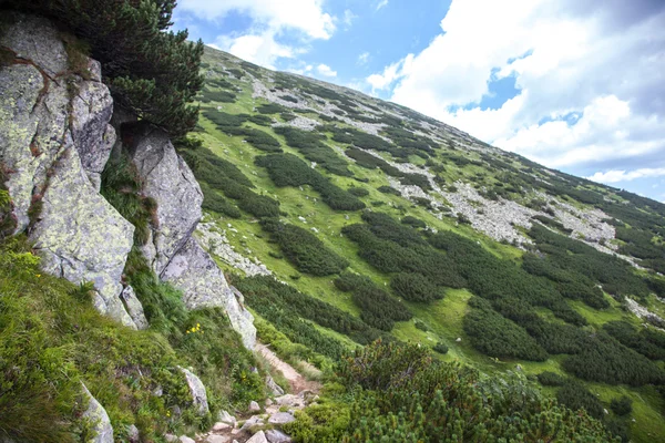Basso Tatra montagne, Slovacchia — Foto Stock