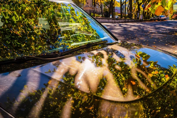 Reflection Colorful Autumn Leaves Car Windshield — Stock Photo, Image