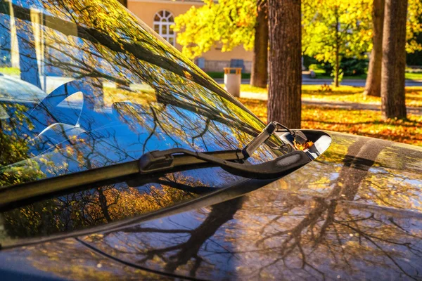 Reflection Yellow Autumn Leaves Car Windshield — Stock Photo, Image