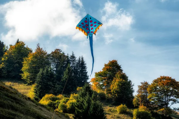 Aquilone Blu Che Vola Contro Cielo Blu Alberi Autunnali — Foto Stock