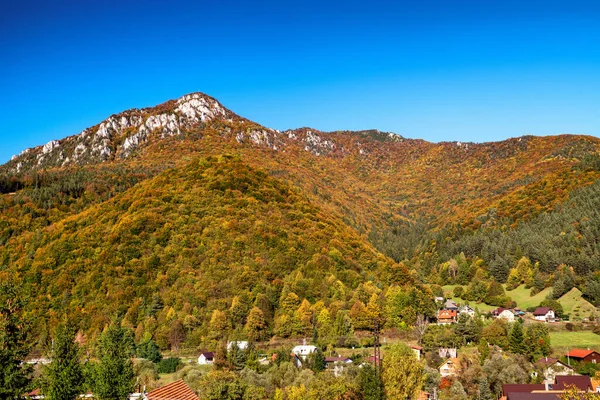 Kolorowe Drzewa Jesiennym Lesie Łyk Nad Wioską Rojkov Stankovany Słowacja — Zdjęcie stockowe