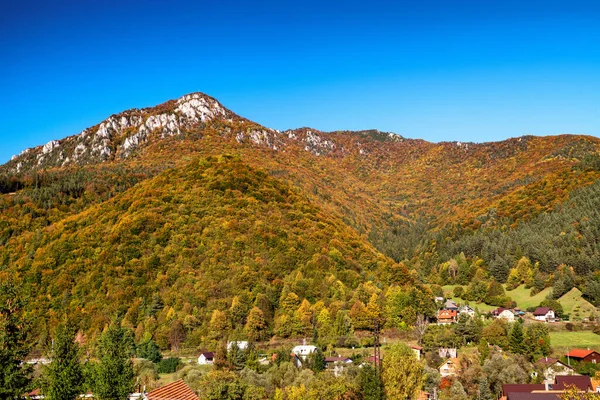 Arbres Colorés Dans Forêt Automne Colline Sip Sur Village Rojkov — Photo