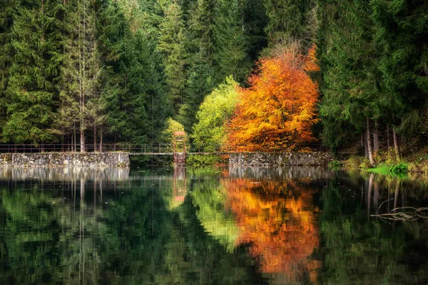 Reflecție Asupra Nivelului Apei Lacul Din Valea Cutkovska Slovacia — Fotografie, imagine de stoc