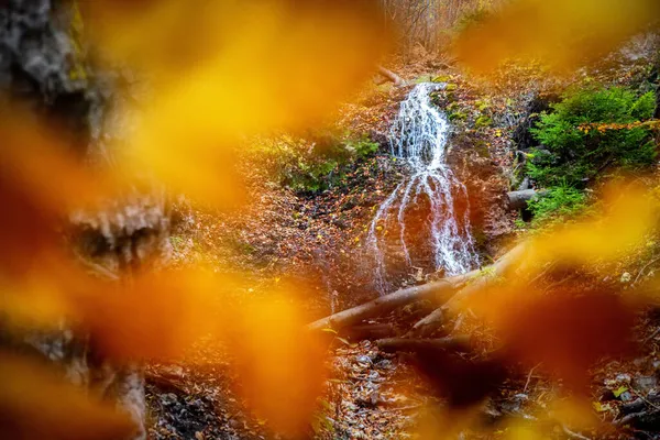 Водоспад Осінньому Лісі Ямисна Горілка Долині Кутковської Словаччина — стокове фото