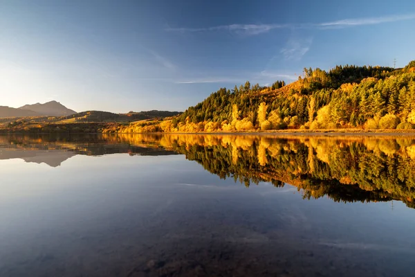 Odraz Barevných Žlutých Podzimních Stromů Hladině Jezera Liptovská Mara Slovensku — Stock fotografie