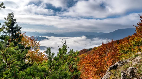 Vista Sobre Inversão Montanhas Outono Com Árvores Coloridas — Fotografia de Stock