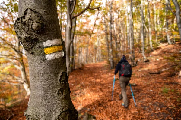 Placa Amarela Árvore Para Caminhadas Trilha Montanha Caminhante Segundo Plano — Fotografia de Stock