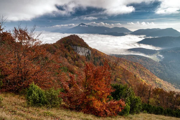 Florestas Outono Coloridas Inversão Sob Montanhas Hill Sip Eslováquia — Fotografia de Stock