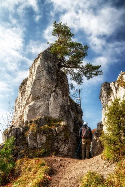Caminhante Com Postes Trekking Caminhando Entre Formações Rochosas Caminho Montanha — Fotografia de Stock