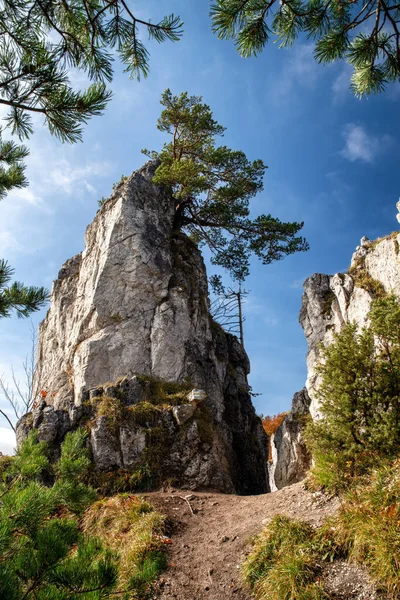 Formações Rochosas Floresta Hill Sip Eslováquia — Fotografia de Stock