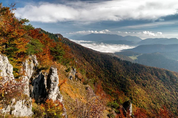 Färgglada Höstskogar Och Inversion Fjällen Hill Sip Slovakien — Stockfoto