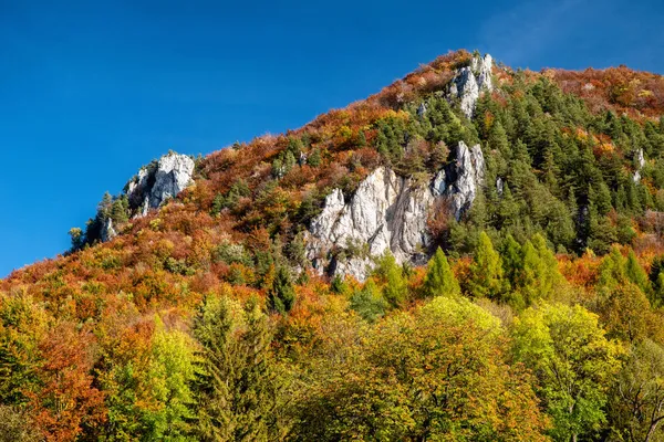 Arbres Colorés Forêt Paysage Automne Hill Sip Slovaquie — Photo