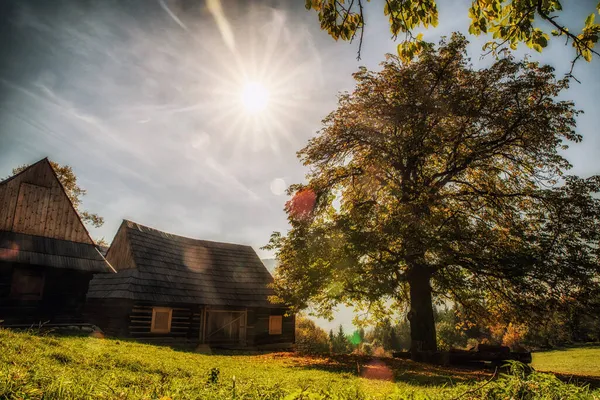 カラフルな秋の木を通して木製のコテージとサンビーム — ストック写真