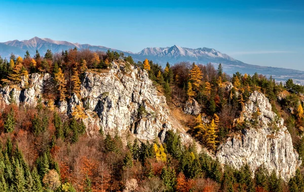 Klippformationer Haliny Great Fatra Bergen Slovakien Hill Krivan Från Höga — Stockfoto