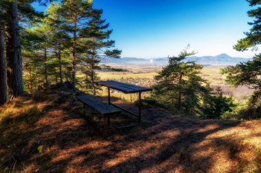 Ormanda yapayalnız bir bank. Slovakya 'daki Demanovska Hora tepesinden görüntü.