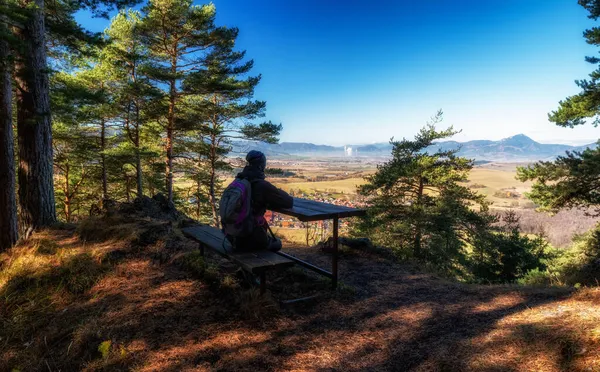 Chica Excursionista Sentada Banco Bosque Mirando Campo Vista Desde Colina — Foto de Stock