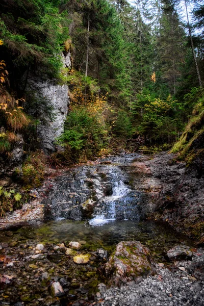 Horský Potok Demanovka Údolí Dolina Vyvieranie Slovensku — Stock fotografie