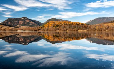 Su yüzeyindeki sonbahar ağaçları ve tepelerin ayna yansıması. Slovakya 'daki Dam Liptovska Mara.