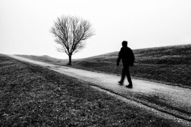 Sisli topraklarda yapraksız ağaçların yanında yürüyen yalnız bir insan. Sisli sonbahar havası. Siyah beyaz fotoğraf.