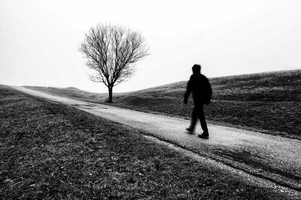 孤独な人霧の国のチラシの木の近くを歩く 霧のような秋の天気 白黒写真 — ストック写真