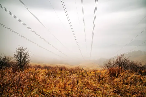 霧の霧の国の上の電線 — ストック写真