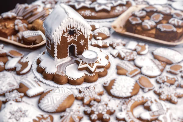 Different Christmas Homemade Gingerbread Cookie — Stock Photo, Image