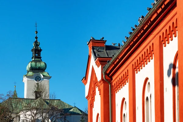 Schlafende Tauben Auf Dem Dach Des Gebäudes Stadt Ruzomberok Der — Stockfoto