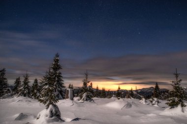 Kış dağı manzarası. Smrekovica, Slovakya 'da gece gökyüzünün altındaki karlı ağaçlar.