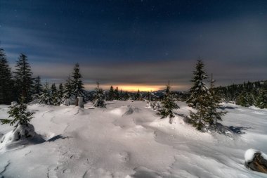 Kış dağı manzarası. Smrekovica, Slovakya 'da gece gökyüzünün altındaki karlı ağaçlar.