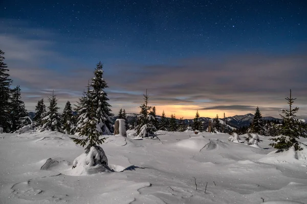 Kış dağı manzarası. Smrekovica, Slovakya 'da gece gökyüzünün altındaki karlı ağaçlar.