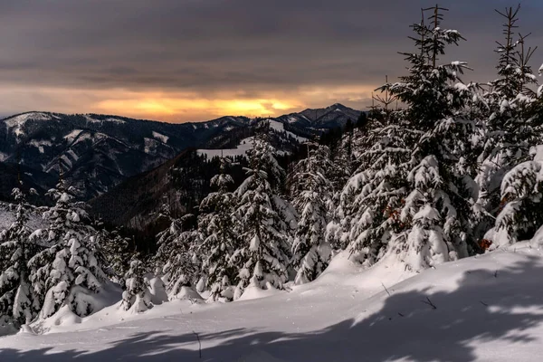 Zimowy Krajobraz Górski Śnieżne Drzewa Pod Niebem Nocy Smrekovica Słowacja — Zdjęcie stockowe
