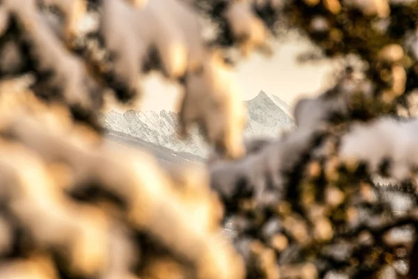 Beautiful Winter Snowy Peak Krivan High Tatras Mountains Slovakia — Stock Photo, Image