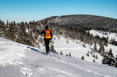 Kayakçı karlı kış ülkesinde yürüyor. Slovakya 'nın Büyük Fetra Dağlarında Kayak Dağcılığı.