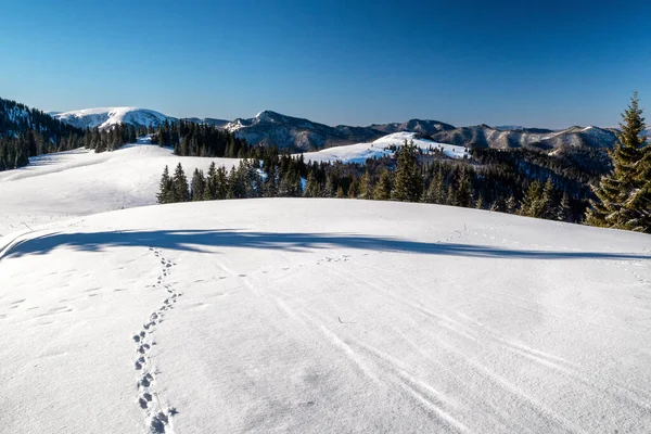 Snowy Biały Krajobraz Górach Zimowych — Zdjęcie stockowe