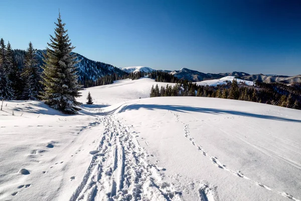 Paysage Blanc Enneigé Dans Les Montagnes Hiver — Photo