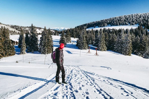 Kvinna Vandrare Promenader Snö Vintern Land Stora Fatra Bergen Slovakien — Stockfoto