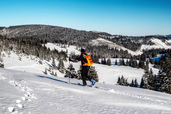 Kayakçı Karlı Kış Ülkesinde Yürüyor Slovakya Nın Büyük Fetra Dağlarında — Stok fotoğraf
