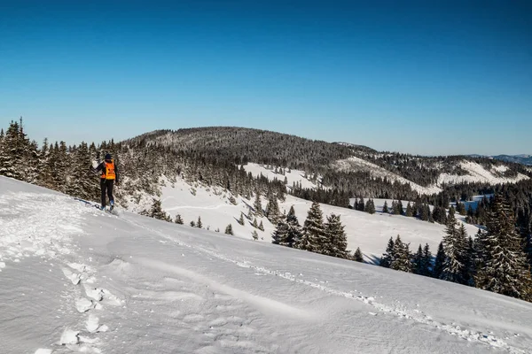 Narciarz Spacerujący Śnieżnej Zimie Narciarstwo Górskie Wielkiej Fatrze Słowacja — Zdjęcie stockowe