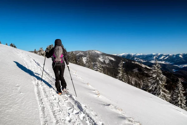 Kvinna Vandrare Promenader Snö Vintern Land Stora Fatra Bergen Slovakien — Stockfoto