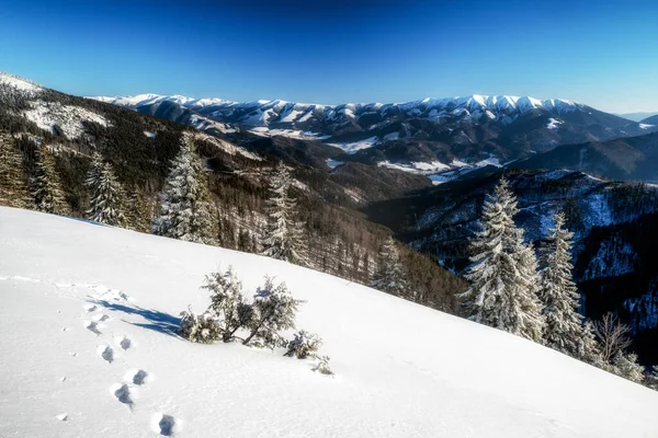 冬季群山中美丽的雪地 从斯洛伐克下塔特拉山的大法特拉山观看 — 图库照片