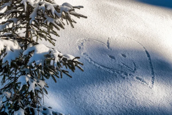 雪の中で笑顔の心の形 冬の愛 — ストック写真