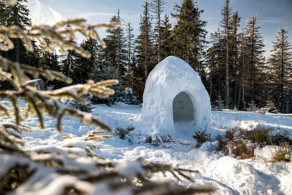 Igloo Neige Dans Forêt Hiver Montagne — Photo