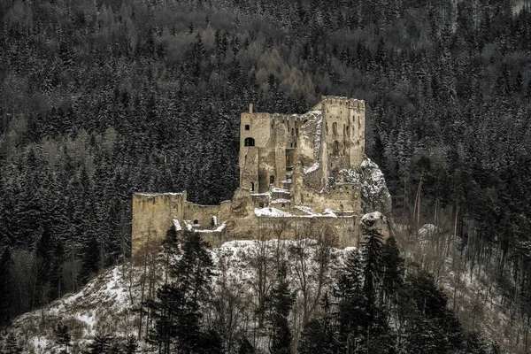 Ruínas Castelo Medieval Likava Eslováquia Floresta Escura Fundo — Fotografia de Stock