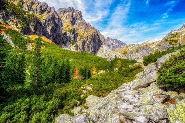 Güzel dağ manzarası. Vadi Mala Studena dolina yüksek Tatras mountains, Slovakya için