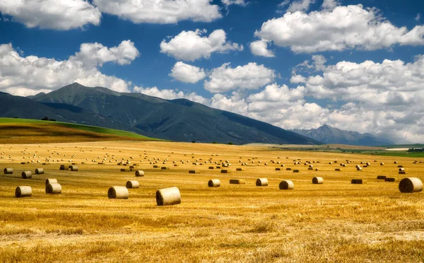 Harvested field with haystacks. Blue sky and mountains at background. Western and High Tatras landscape. Slovakia