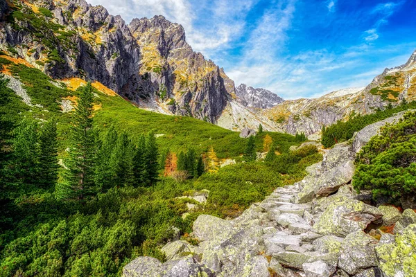 Vackra Bergslandskap Dalen Mala Studena Dolina Höga Tatrabergen Slovakien — Stockfoto